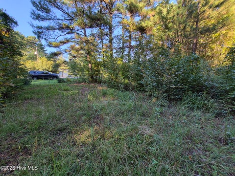Tiny photo for 000 Ashton Road, Burgaw, NC 28425 (MLS # 100612686)