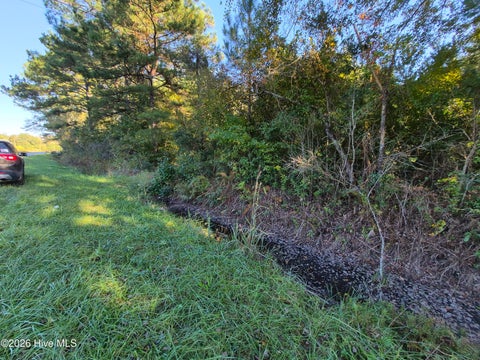 Tiny photo for 000 Ashton Road, Burgaw, NC 28425 (MLS # 100612686)