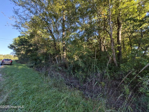 Tiny photo for 000 Ashton Road, Burgaw, NC 28425 (MLS # 100612686)
