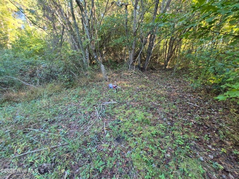 Tiny photo for 000 Ashton Road, Burgaw, NC 28425 (MLS # 100612686)