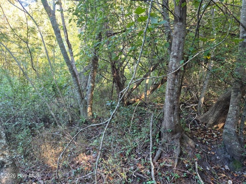 Tiny photo for 000 Ashton Road, Burgaw, NC 28425 (MLS # 100612686)
