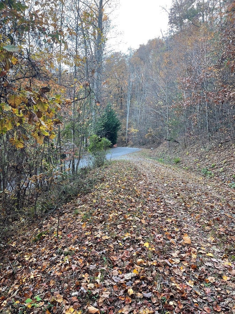 Lot 51j 51J Indian Trail - Photo 4