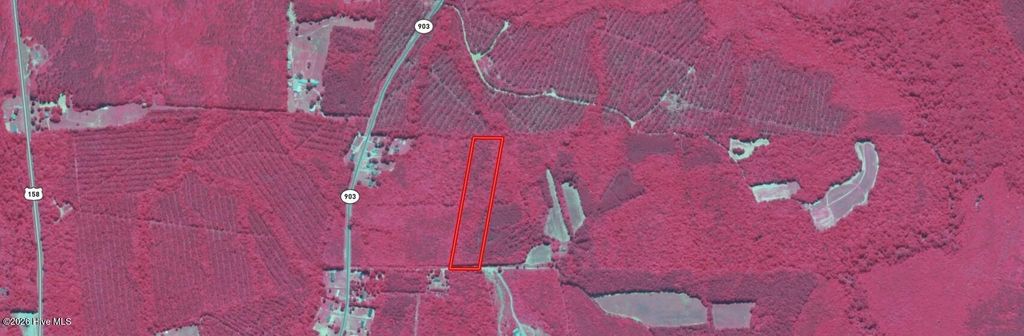 Photo of 0 Highway 903, Roanoke Rapids, NC 27870 (MLS # 100553098)