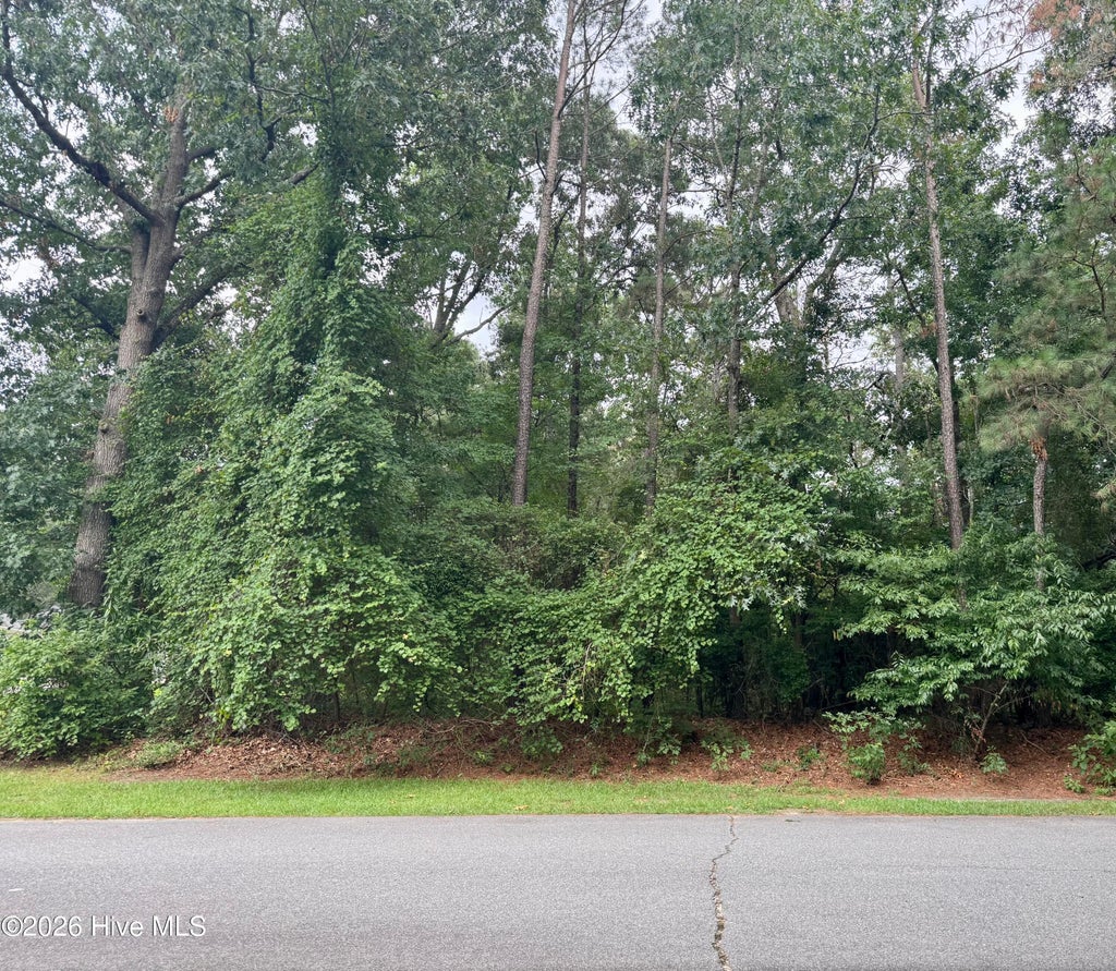 Photo of 112 Deerborn Drive, Goldsboro, NC 27534 (MLS # 100588703)