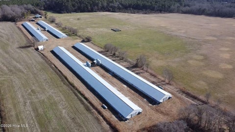 Vacant Land For Sale - 16681 Lauch Blue Road<br/> Gibson, NC 28343