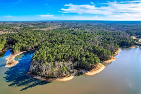 Vacant Land For Sale - 1138 Ben Lane<br/> Lincoln County, Lincolnton, GA 30817