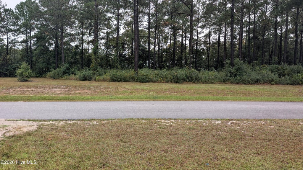 Photo of 244 Gus Horne Road, Holly Ridge, NC 28445 (MLS # 100609672)