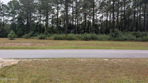 Photo of 244 Gus Horne Road, Holly Ridge, NC 28445 (MLS # 100609672)