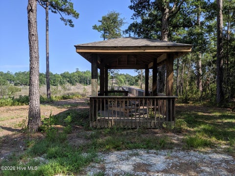 Tiny photo for 244 Gus Horne Road, Holly Ridge, NC 28445 (MLS # 100609672)