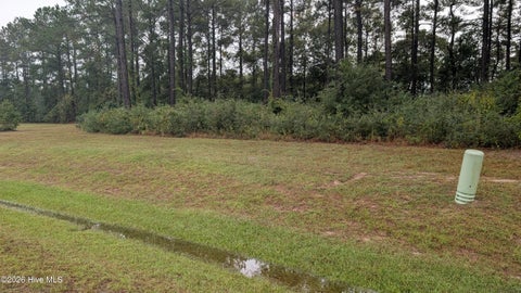 Tiny photo for 244 Gus Horne Road, Holly Ridge, NC 28445 (MLS # 100609672)