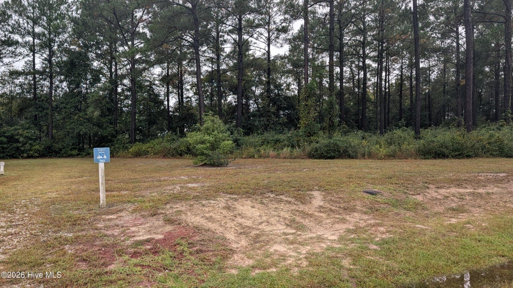 Photo of 244 Gus Horne Road, Holly Ridge, NC 28445 (MLS # 100609672)