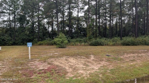 Tiny photo for 244 Gus Horne Road, Holly Ridge, NC 28445 (MLS # 100609672)