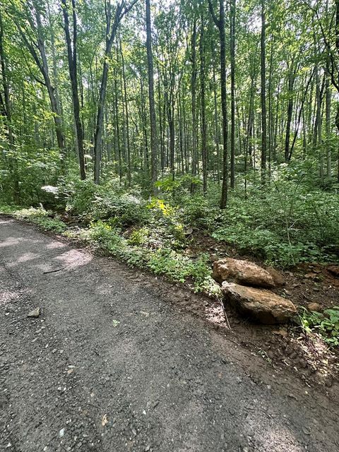 Vacant Land For Sale - 00 Burnt Leaf Dr<br/> Hayesville, NC 28904