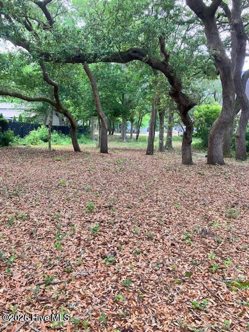 Photo of 121 SW 13th Street, Oak Island, NC 28465 (MLS # 100558934)