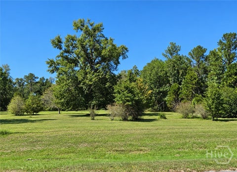 Vacant Land For Sale - Hwy 280<br/> Tattnall County, Reidsville, GA 30453