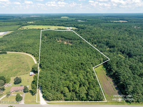 Vacant Land For Sale - TBD (1951) Carrtown Dr.<br/> Duplin County, Greenevers, NC 28458