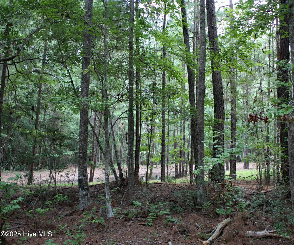 Photo of 6781 Hanbury Place SW, Ocean Isle Beach, NC 28469 (MLS # 100522043)