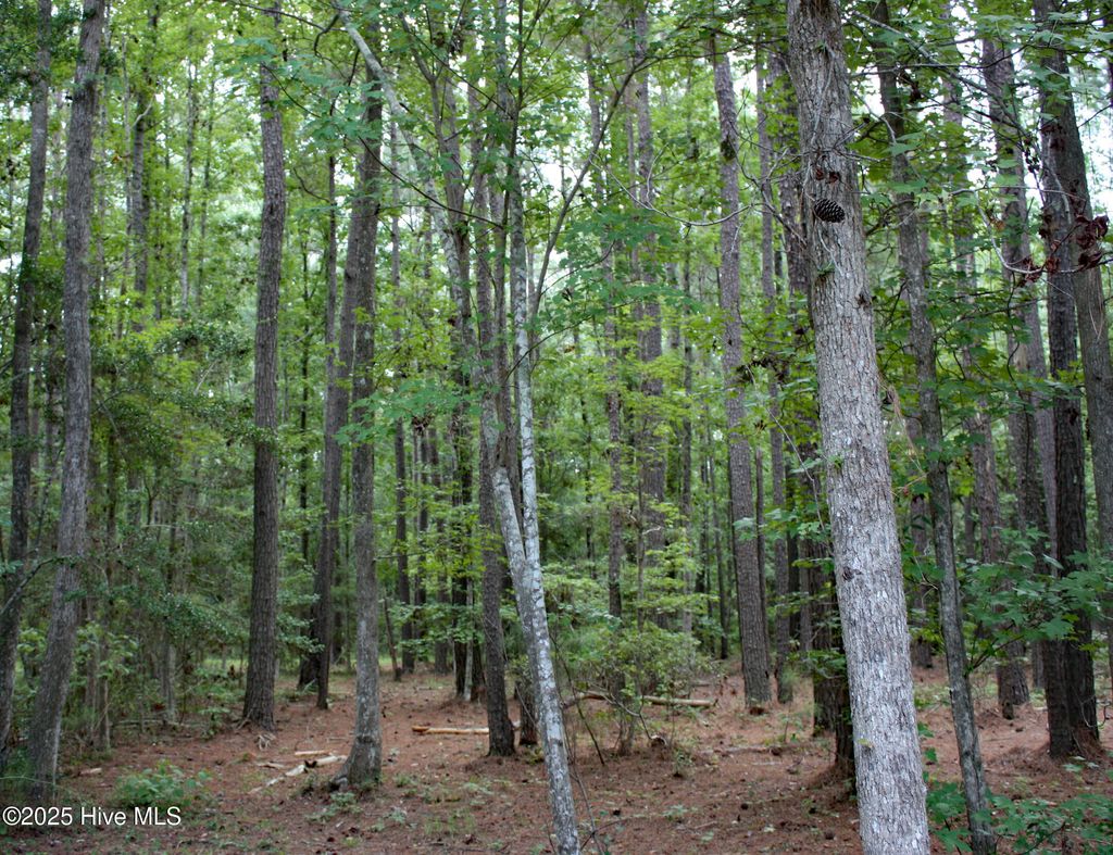 Photo of 6781 Hanbury Place SW, Ocean Isle Beach, NC 28469 (MLS # 100522043)