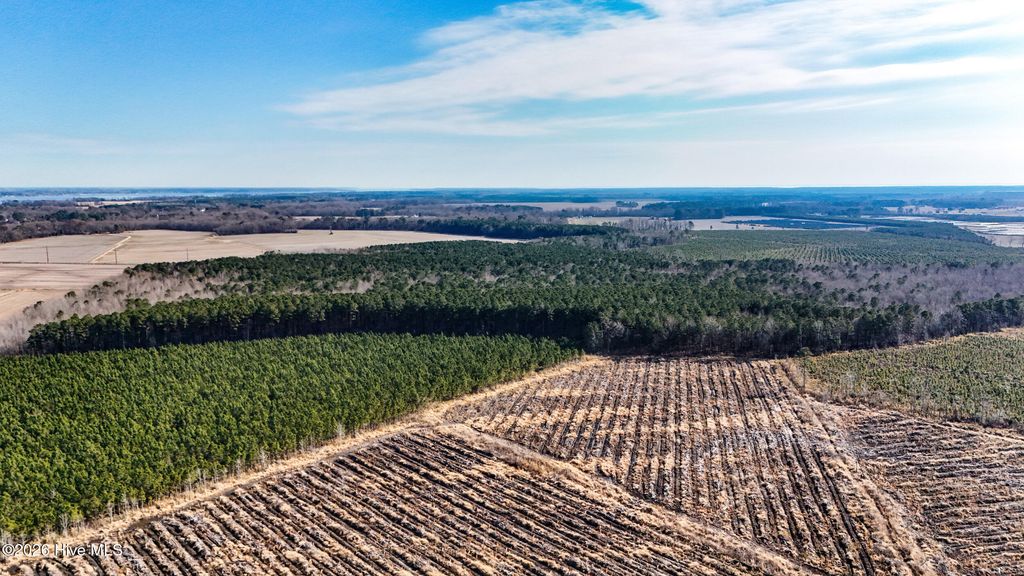 Photo of 22 Ballahack Road, Hertford, NC 27944 (MLS # 100557569)