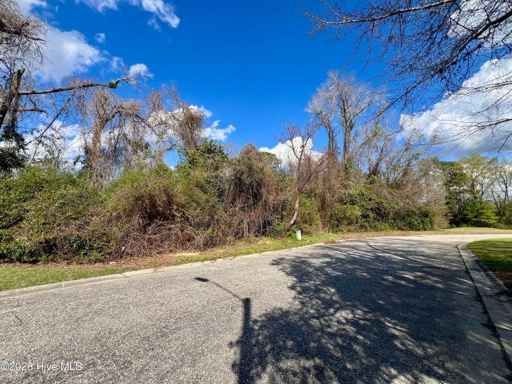 Photo of 615 Pecan Lane, Whiteville, NC 28472 (MLS # 100559298)