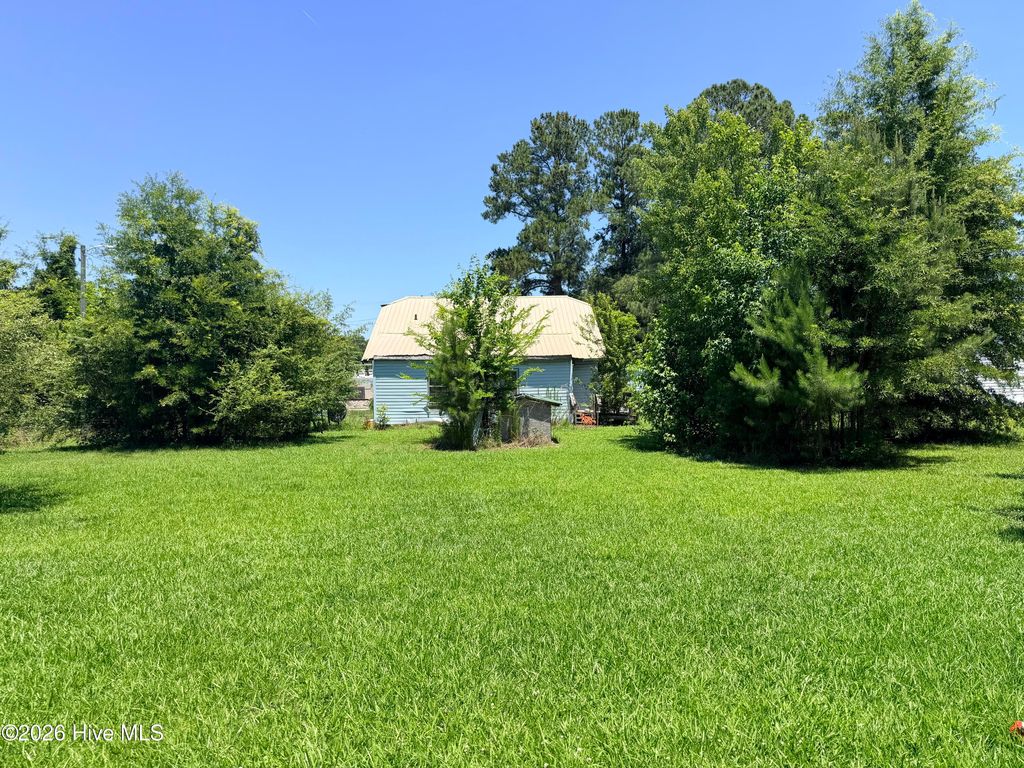 Photo of 221 E Elm Street, Bladenboro, NC 28320 (MLS # 100580838)