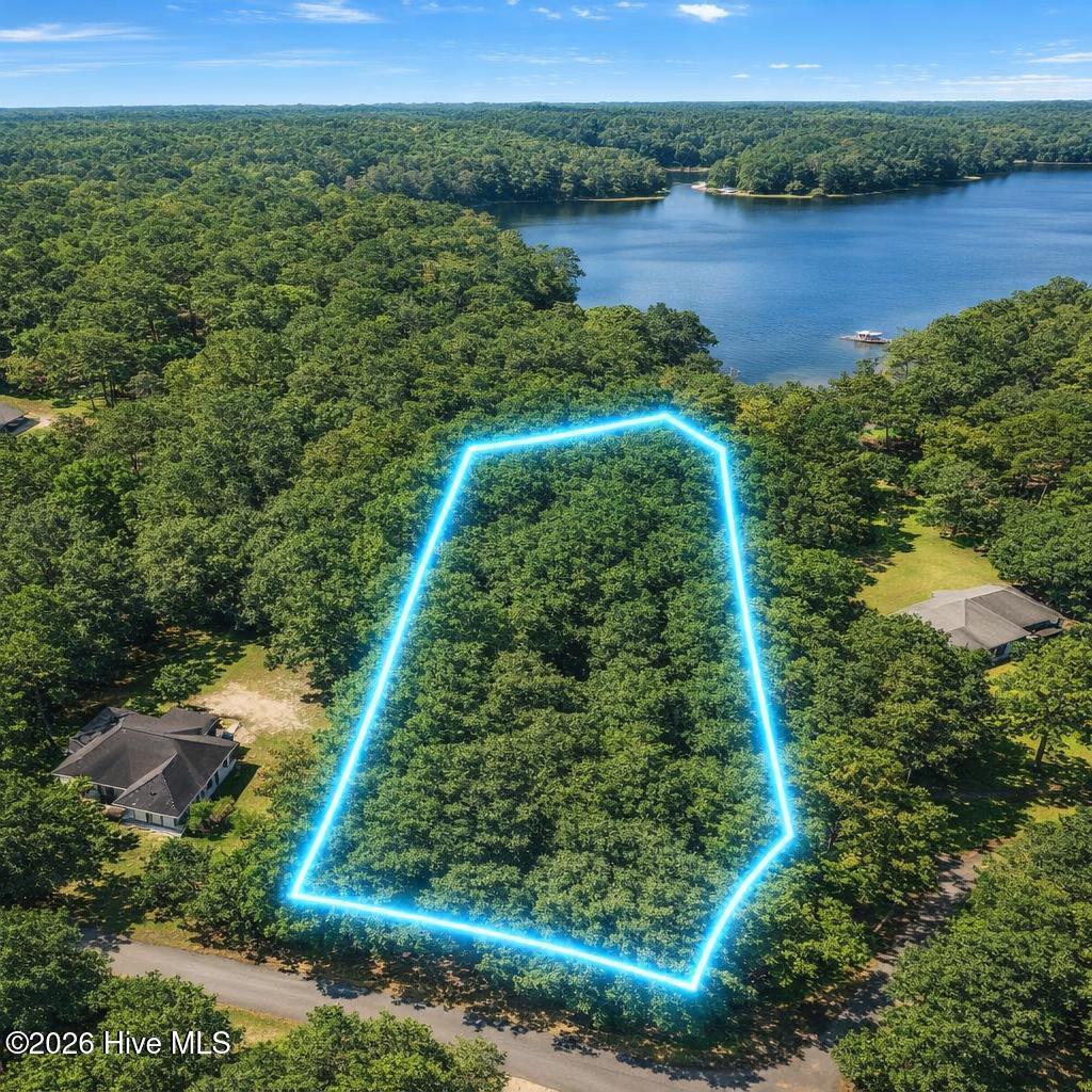 Photo of 0 Lakeview Drive, Pinebluff, NC 28373 (MLS # 100608547)