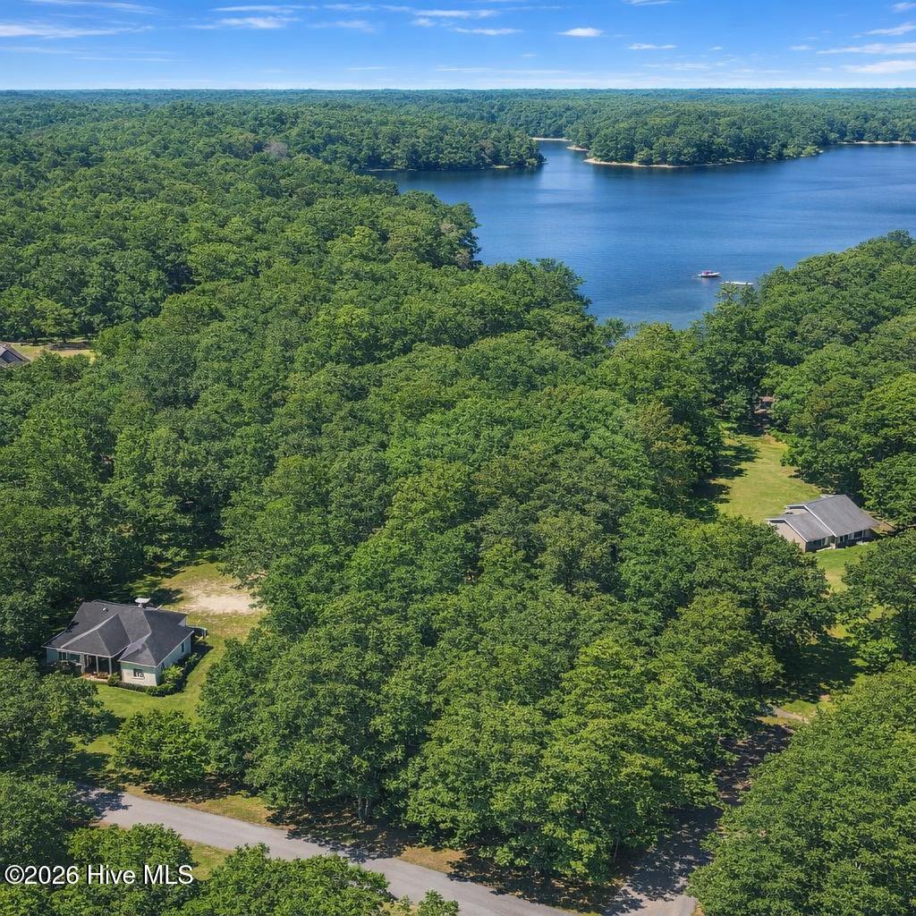 Photo of 0 Lakeview Drive, Pinebluff, NC 28373 (MLS # 100608547)