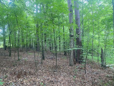 Vacant Land For Sale - 230 Crestridge Drive<br/> Waynesboro, GA 30830
