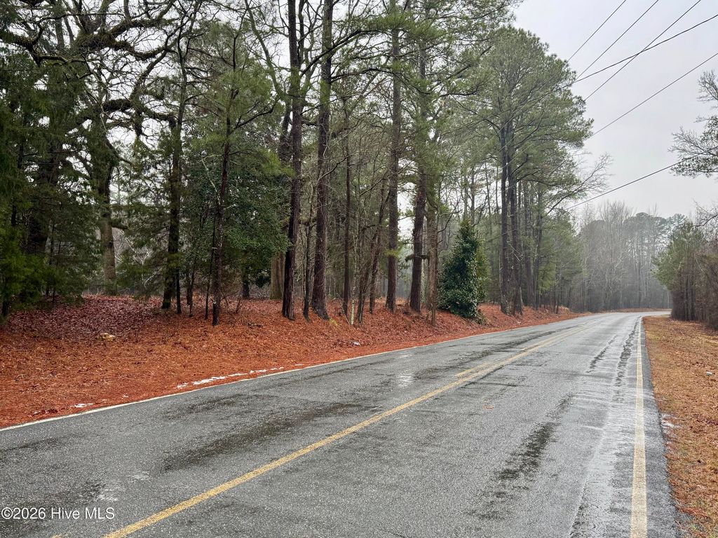 Photo of 15181 Elmore Road, Laurinburg, NC 28352 (MLS # 100552692)