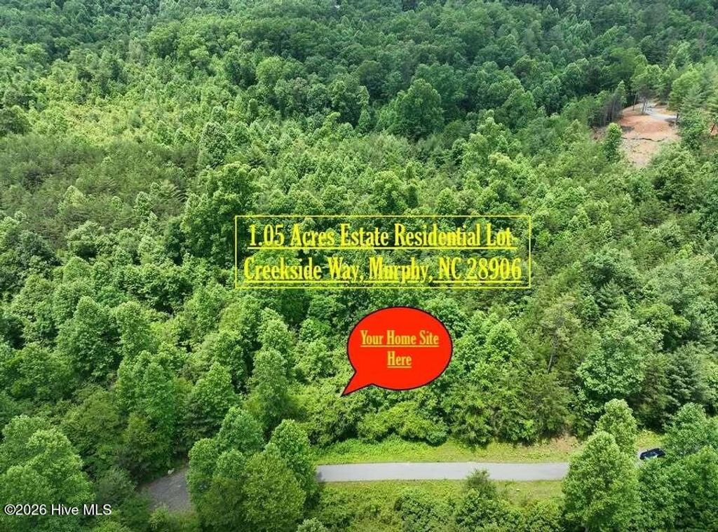 Photo of 14 Creekside Way, Murphy, NC 28906 (MLS # 100591939)