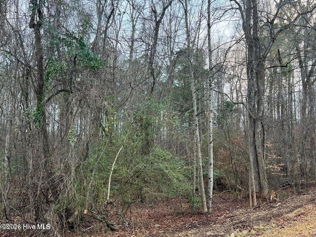 Photo of 0 Sr 1100, Blounts Creek, NC 27814 (MLS # 100563262)