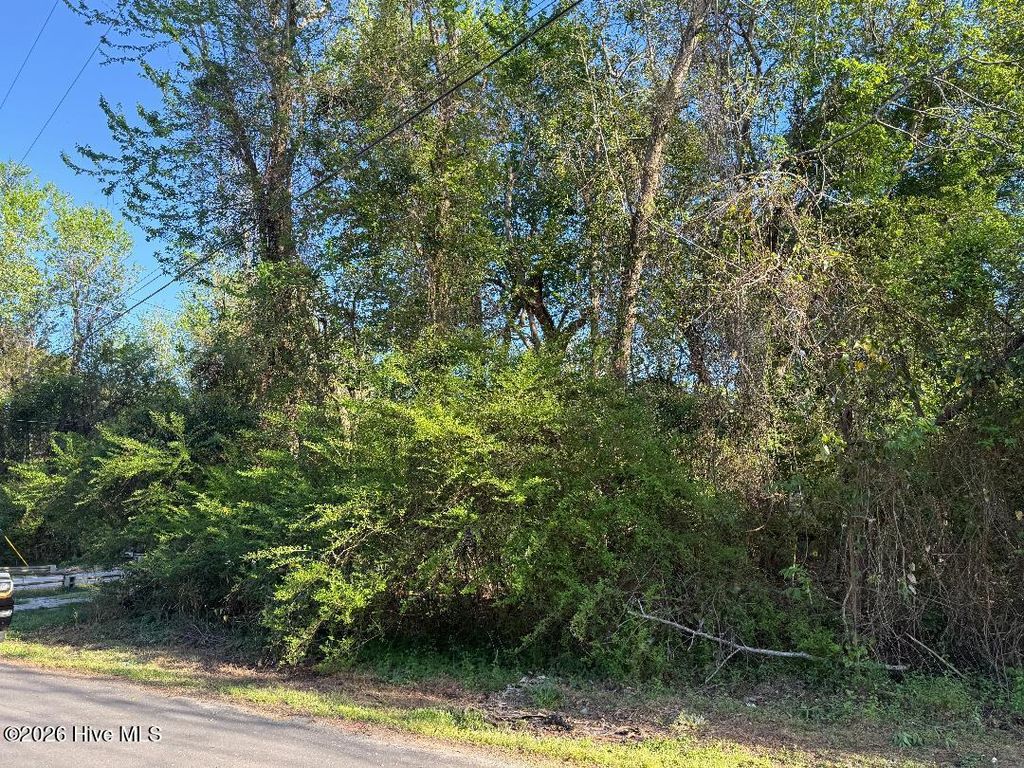 Photo of 2509 New Bern Avenue, New Bern, NC 28560 (MLS # 100565326)