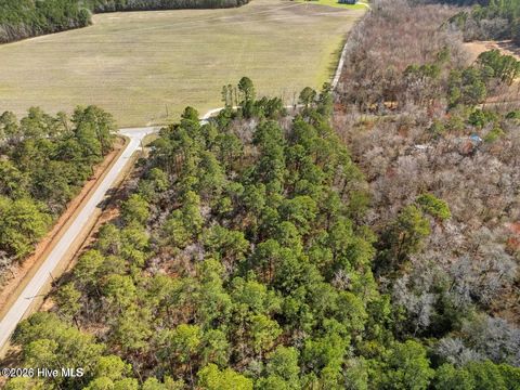 Tiny photo for 12 Page Road, Burgaw, NC 28425 (MLS # 100572371)