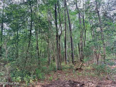 Tiny photo for 12 Page Road, Burgaw, NC 28425 (MLS # 100572371)
