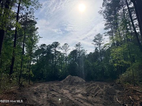 Tiny photo for 12 Page Road, Burgaw, NC 28425 (MLS # 100572371)