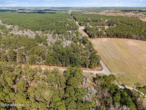 Tiny photo for 12 Page Road, Burgaw, NC 28425 (MLS # 100572371)