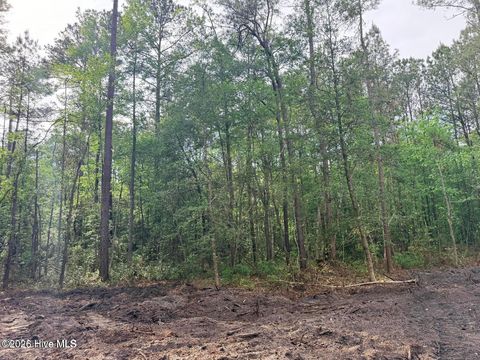 Tiny photo for 12 Page Road, Burgaw, NC 28425 (MLS # 100572371)