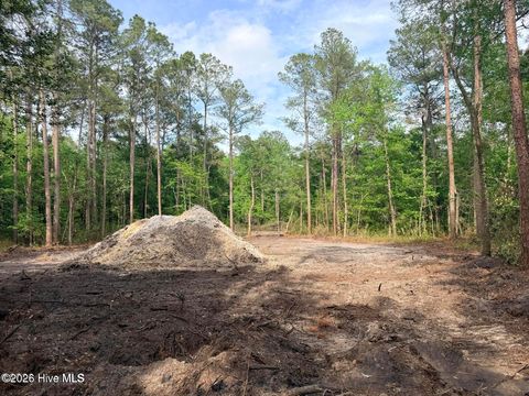 Tiny photo for 12 Page Road, Burgaw, NC 28425 (MLS # 100572371)