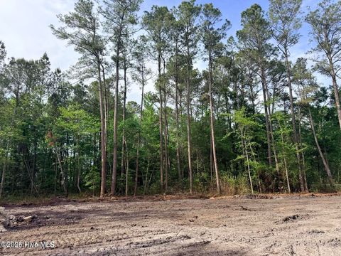 Tiny photo for 12 Page Road, Burgaw, NC 28425 (MLS # 100572371)
