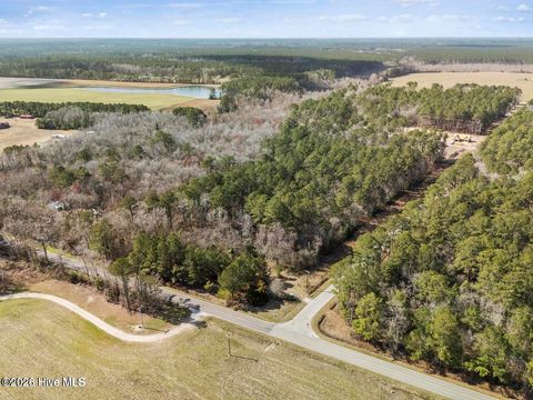 Tiny photo for 12 Page Road, Burgaw, NC 28425 (MLS # 100572371)