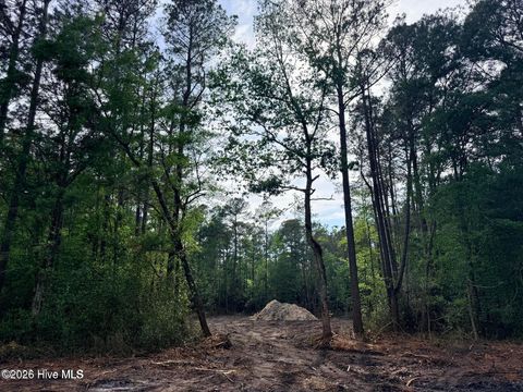 Tiny photo for 12 Page Road, Burgaw, NC 28425 (MLS # 100572371)