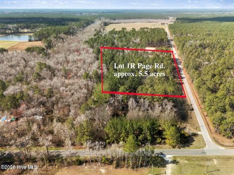 Tiny photo for 12 Page Road, Burgaw, NC 28425 (MLS # 100572371)