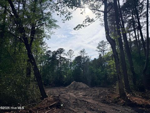Tiny photo for 12 Page Road, Burgaw, NC 28425 (MLS # 100572371)