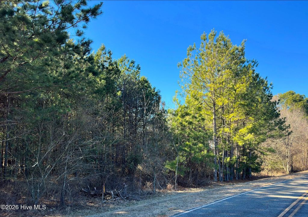 Photo of Tbd Horseshoe Road Road, Rockingham, NC 28379 (MLS # 100553815)