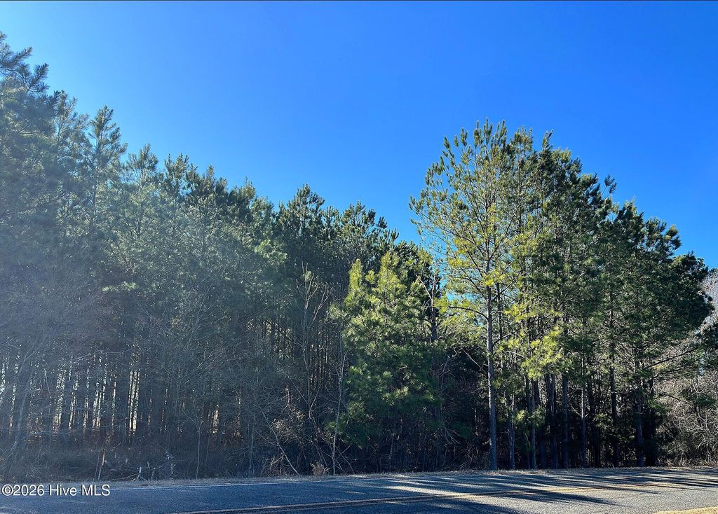 Photo of Tbd Horseshoe Road Road, Rockingham, NC 28379 (MLS # 100553815)