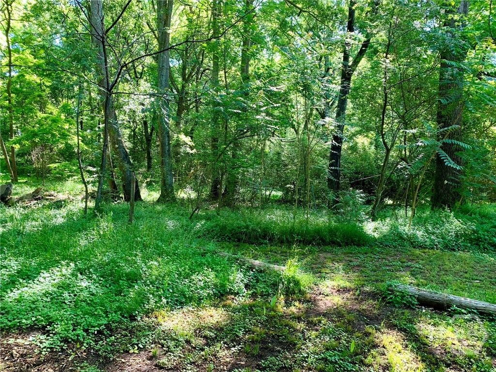 Photo of 0 Martin Luther King Jr Drive, Commerce, GA 30529 (MLS # CL336436)