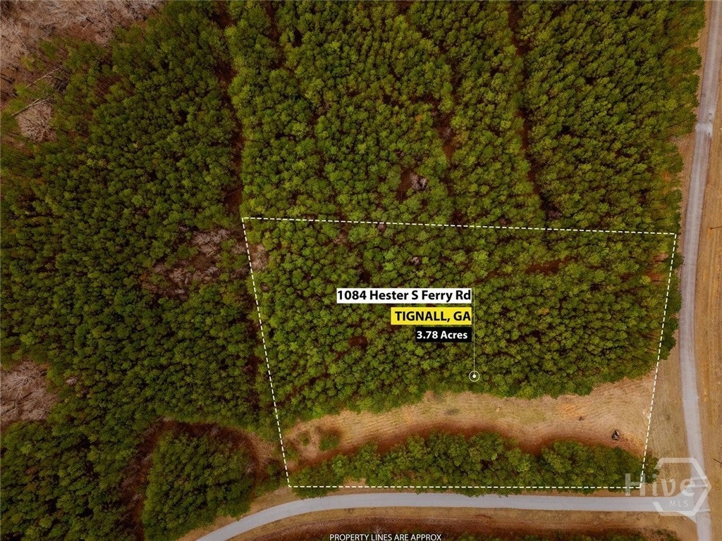 Photo of 1084 S Hesters Ferry Road, Tignall, GA 30668 (MLS # CL361977)