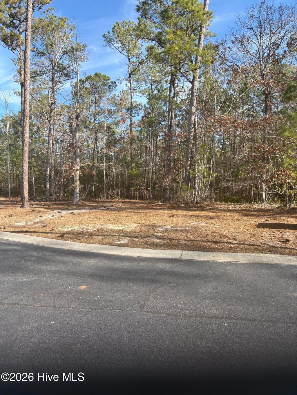 Photo of 1206 Mandevilla Drive SE, Bolivia, NC 28422 (MLS # 100550072)