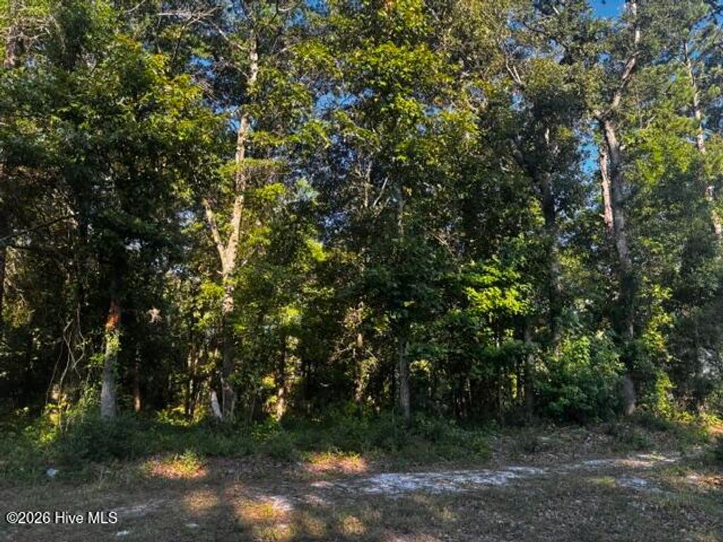 Photo of 2425 Sunset Harbor Road SE, Bolivia, NC 28422 (MLS # 100583475)