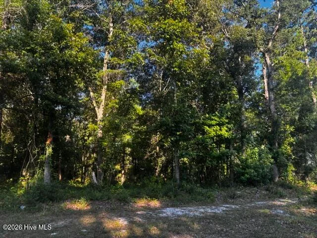 2425 Sunset Harbor Road SE